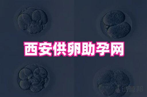 试管助孕网站 3